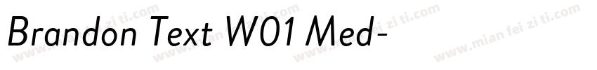 Brandon Text W01 Med字体转换